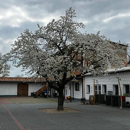 شقة Unseburger Brauhaus Gmbh 1