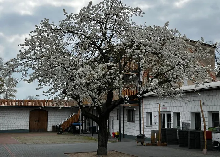 Lägenhet Unseburger Brauhaus Gmbh 1