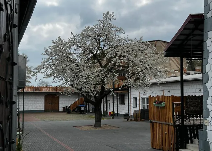 Unseburger Brauhaus Gmbh 1 Unseburg