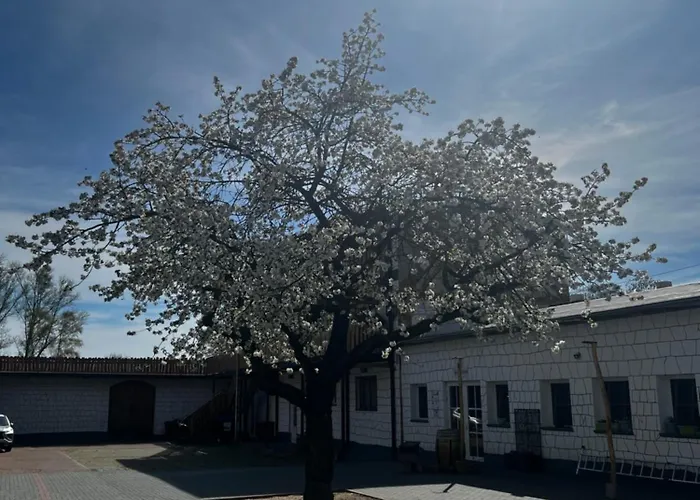 Unseburger Brauhaus Gmbh 1 Lägenhet Unseburg